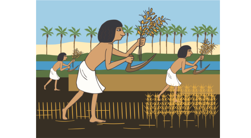 古代エジプト人の農耕