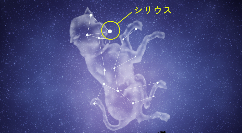おおいぬ座とシリウス